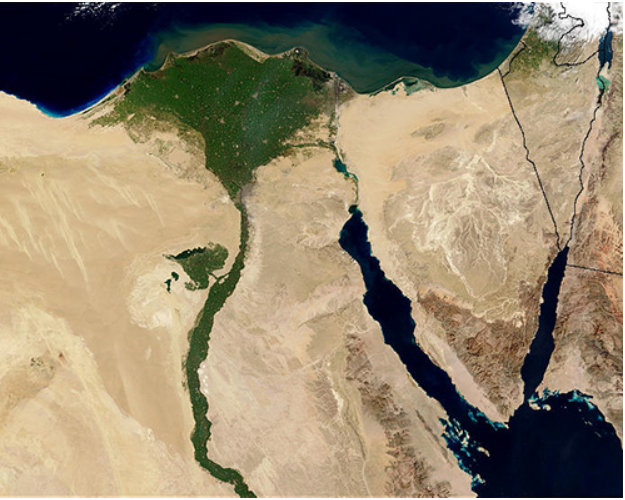 افزایش 30 درصدی تولید پنبه در مصر